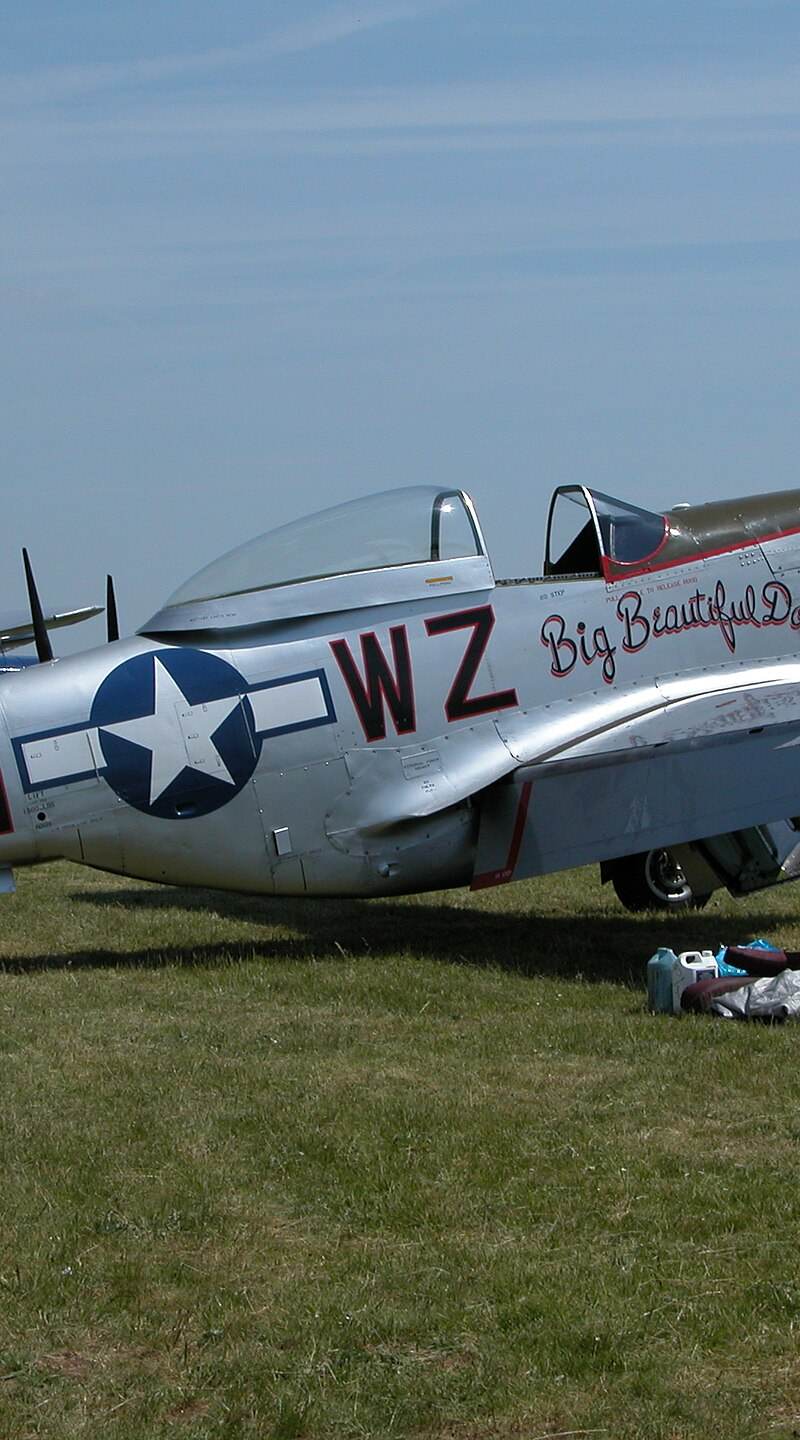  - Warbird