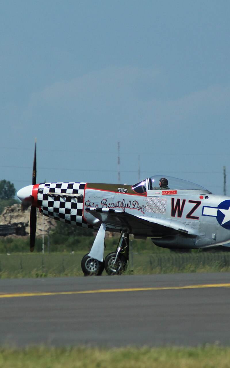  - Warbird