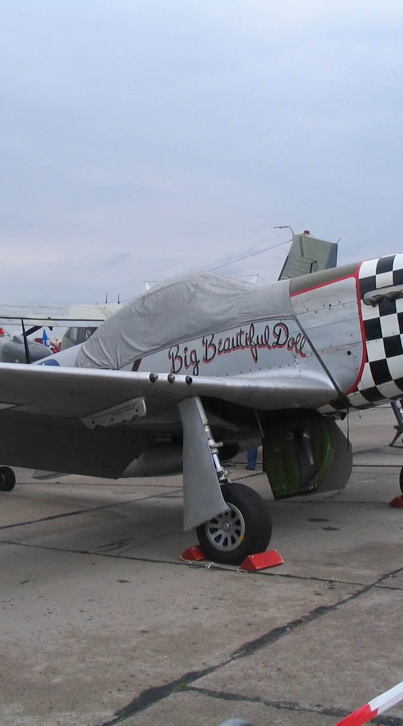  - Warbird