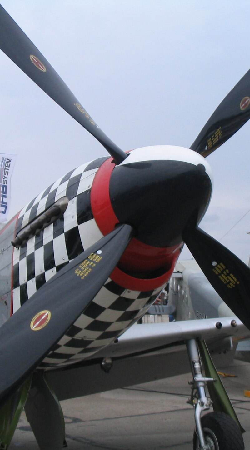  - Warbird