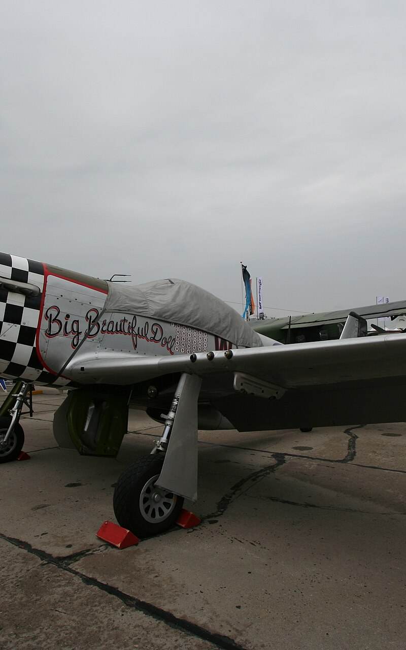  - Warbird