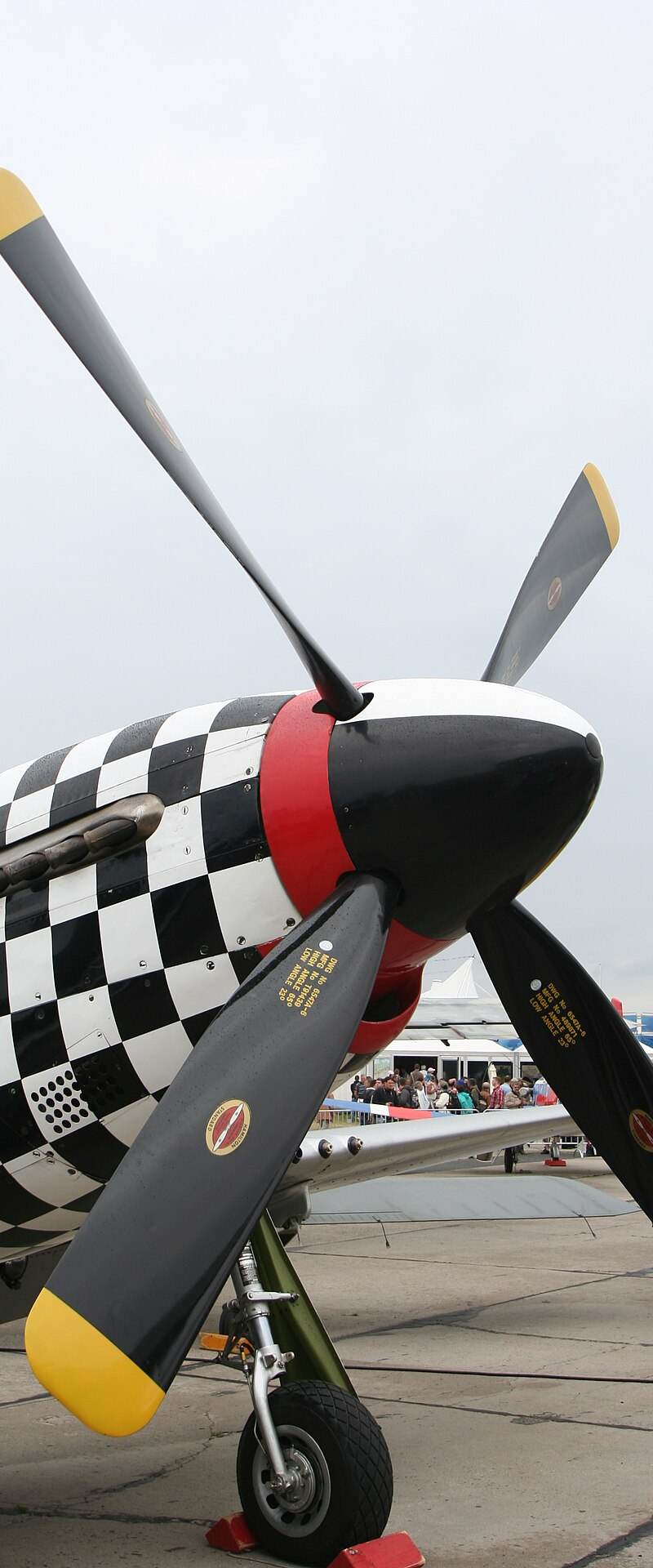  - Warbird