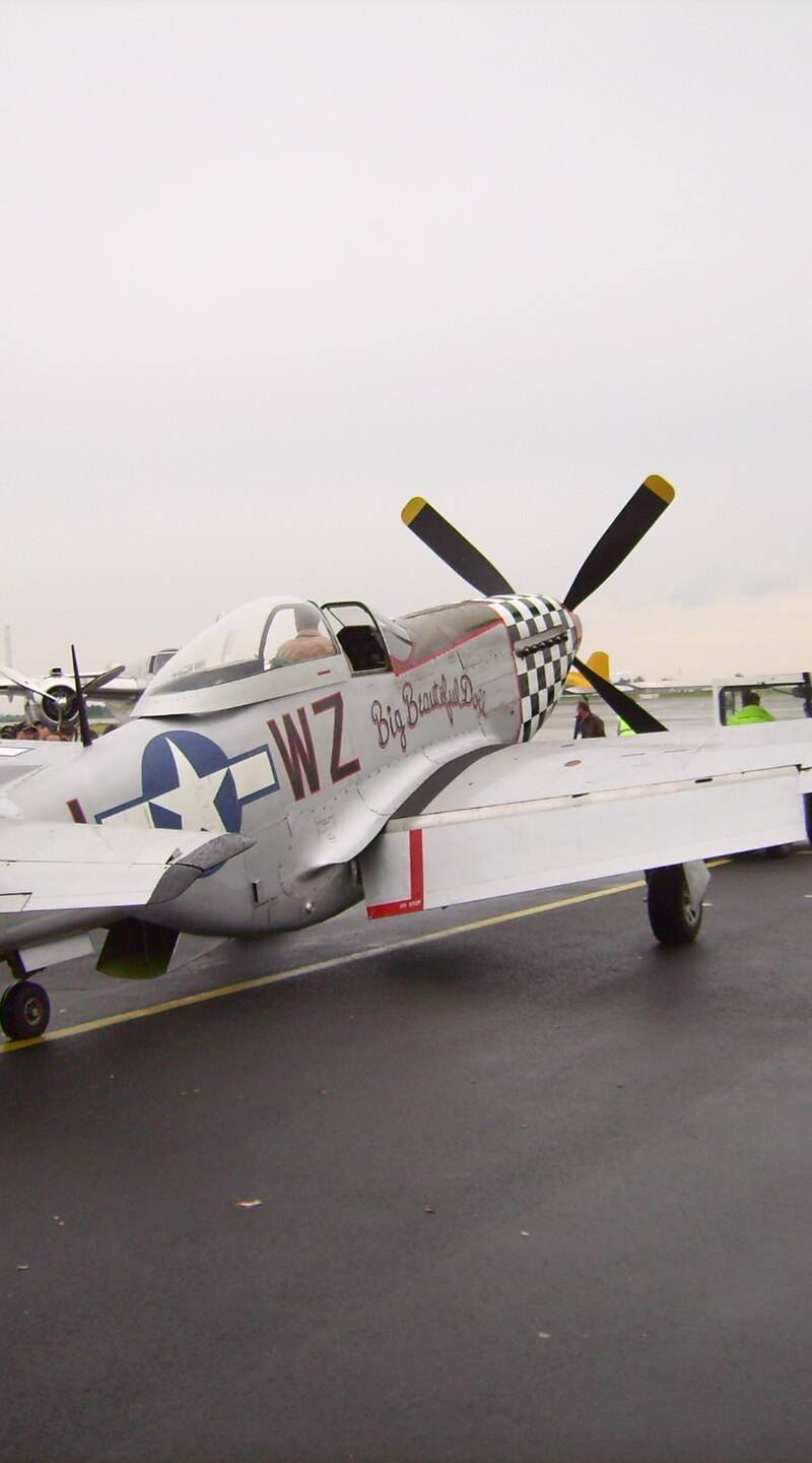  - Warbird