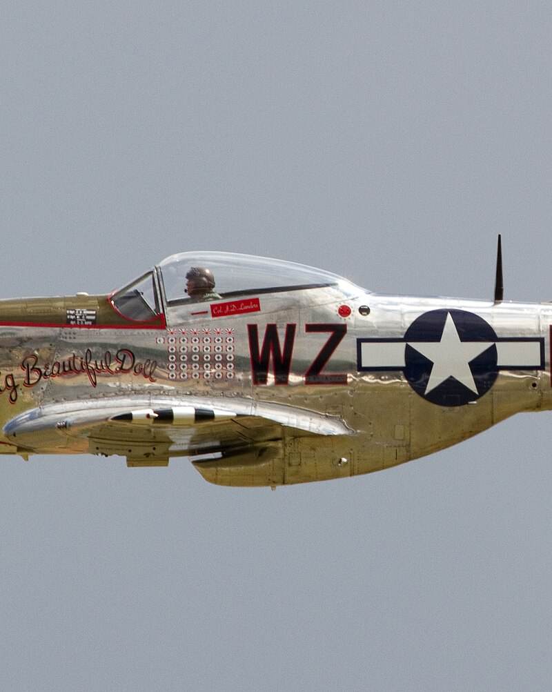  - Warbird