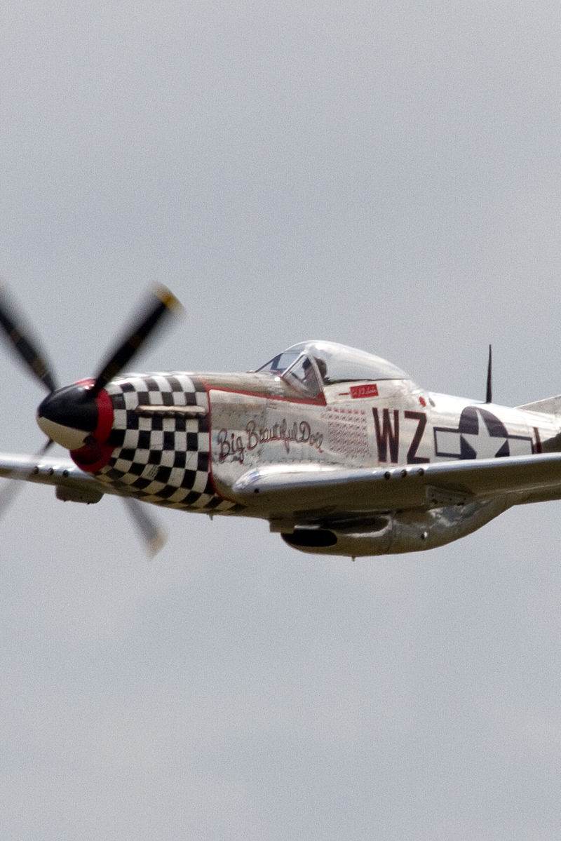  - Warbird
