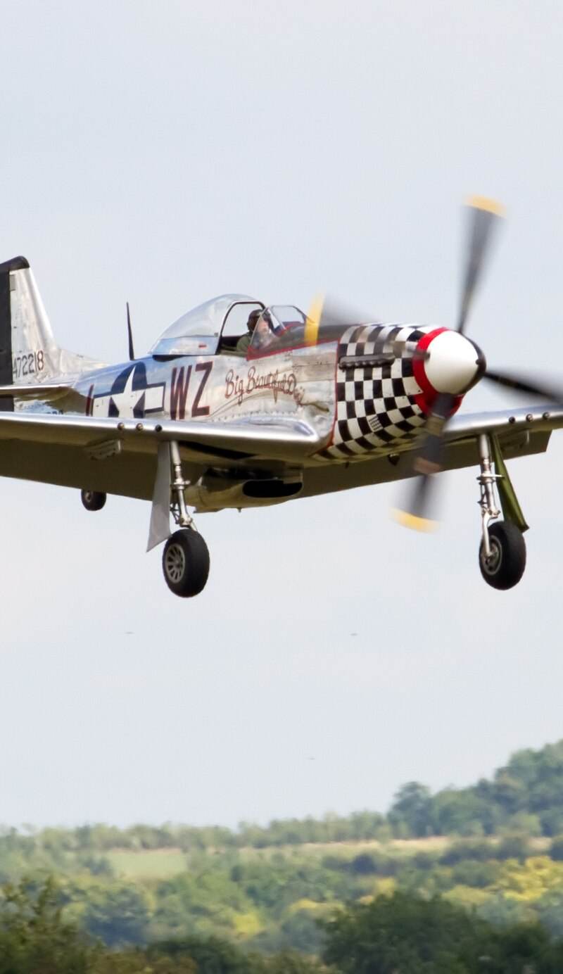  - Warbird