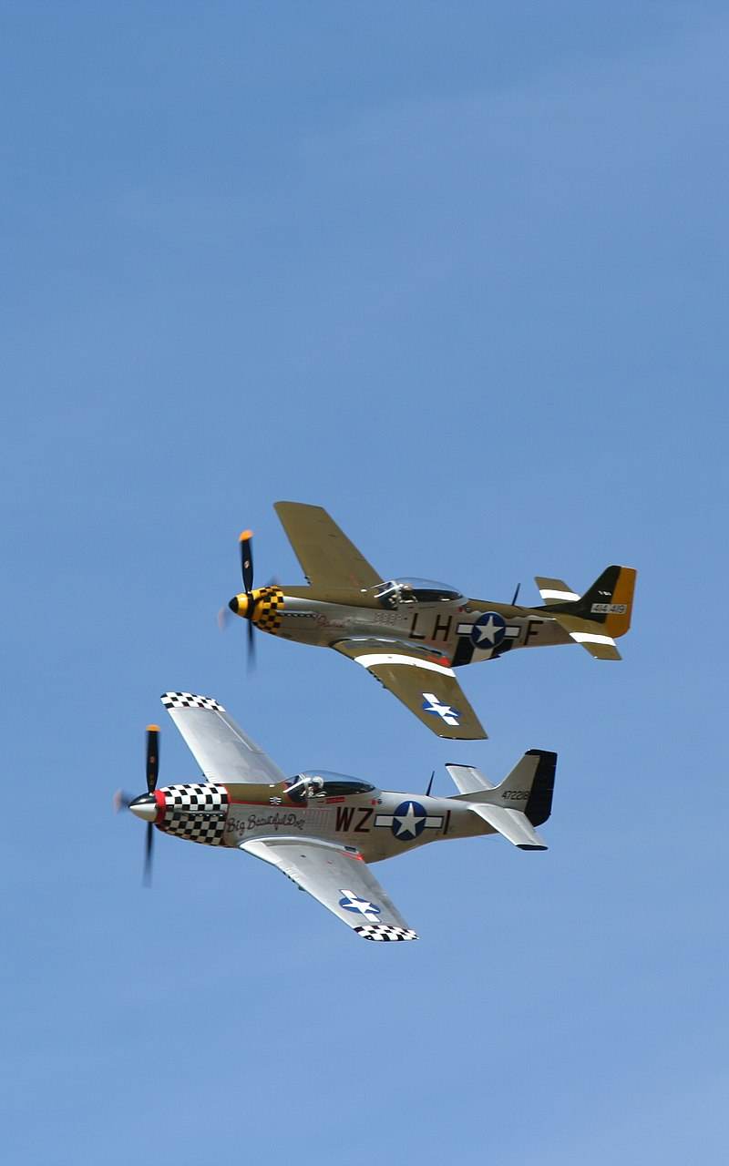  - Warbird