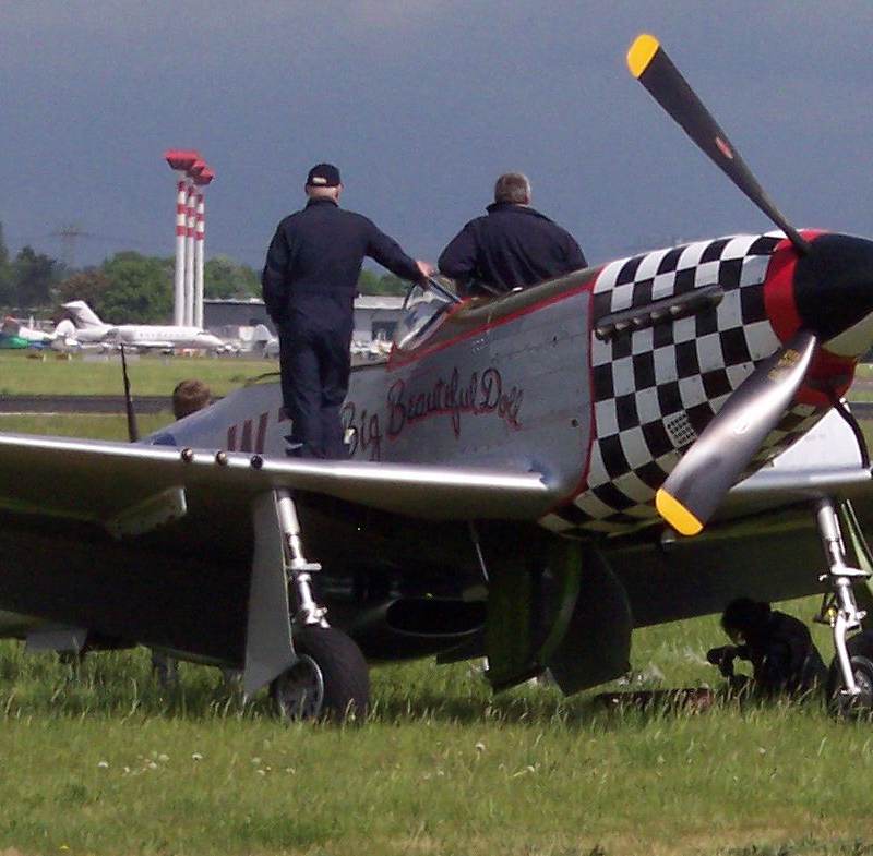  - Warbird