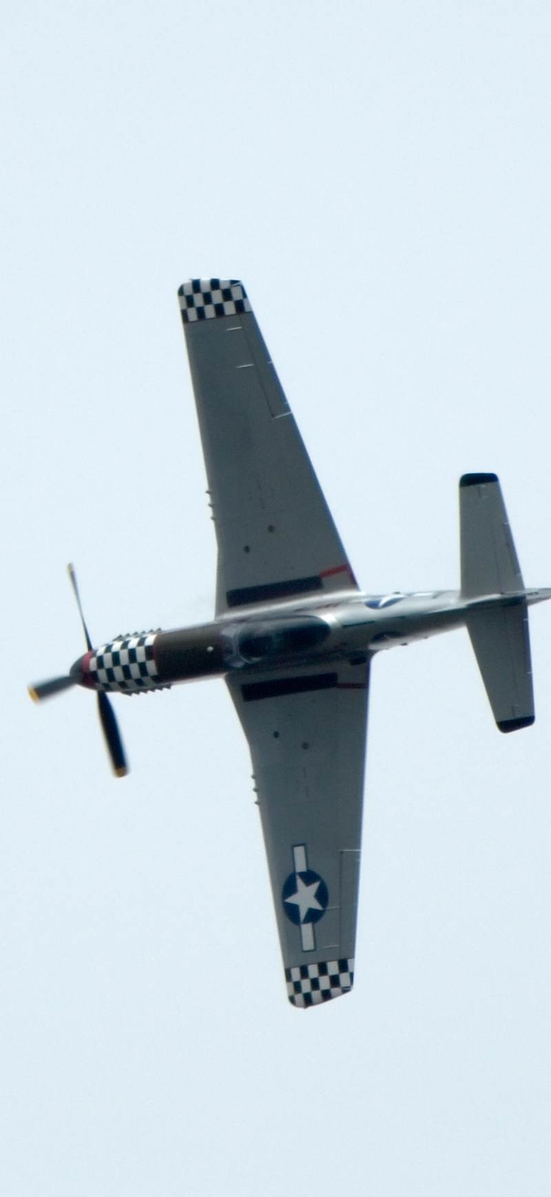  - Warbird