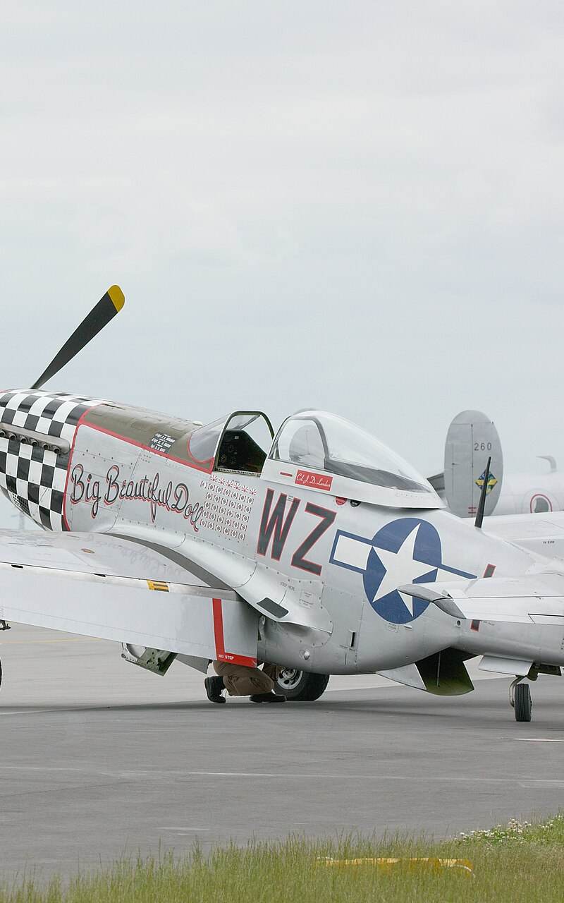  - Warbird