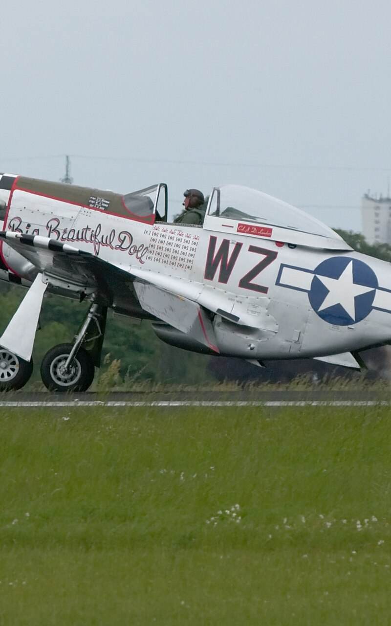  - Warbird