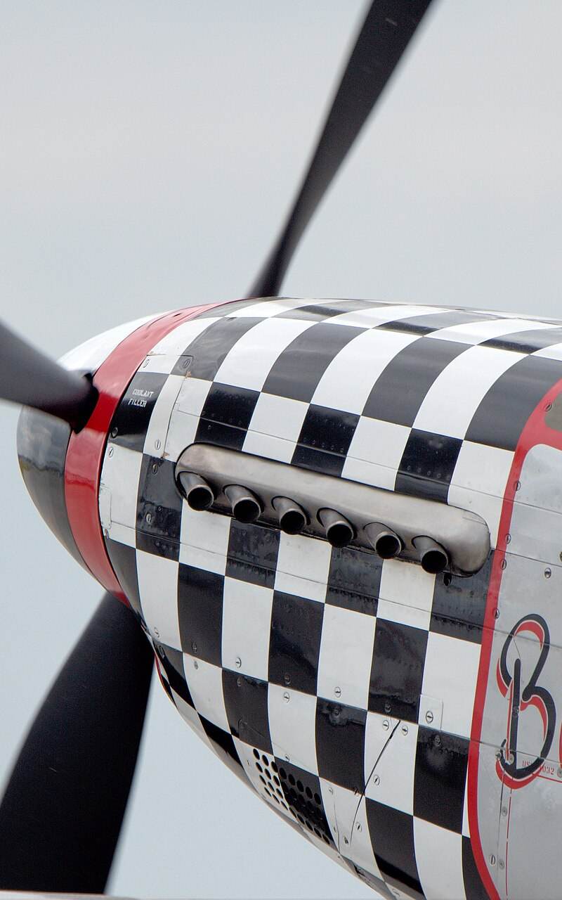  - Warbird