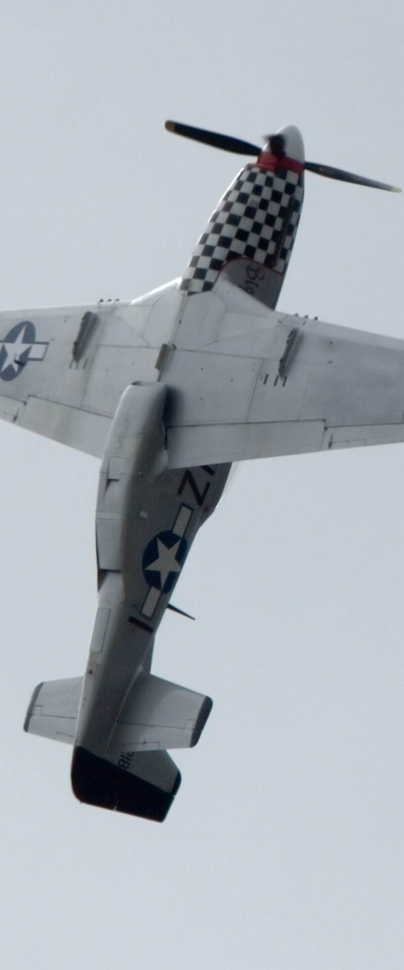  - Warbird