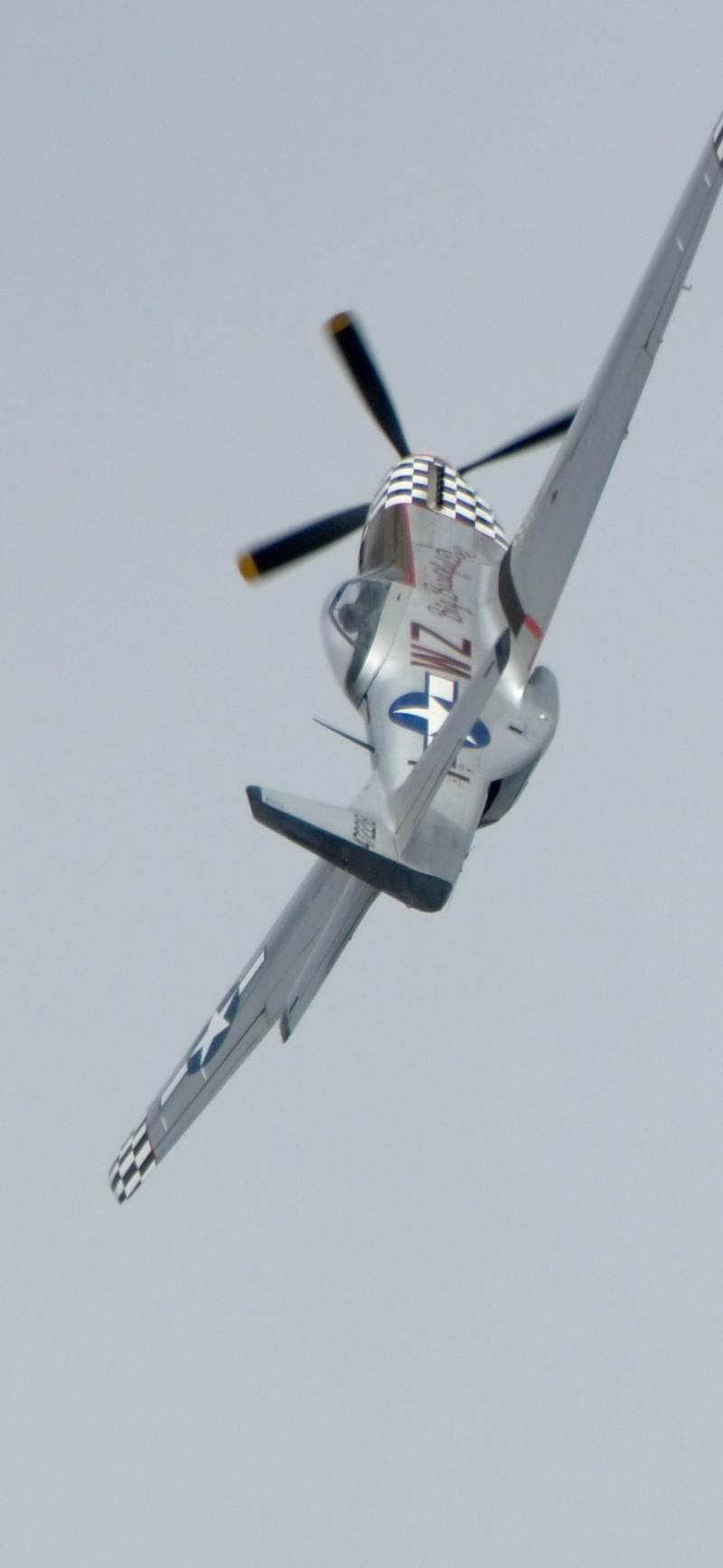  - Warbird
