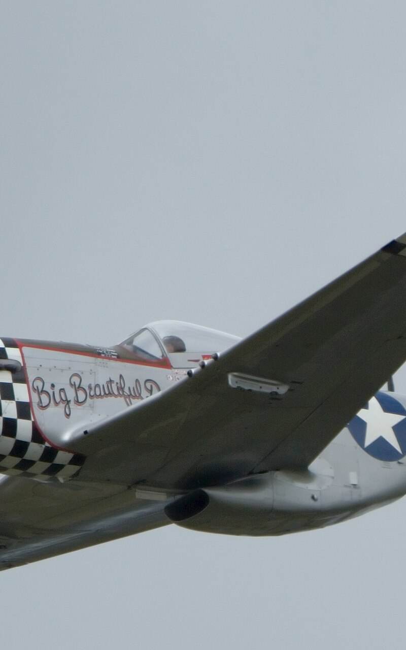  - Warbird