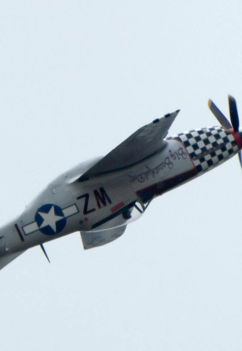  - Warbird