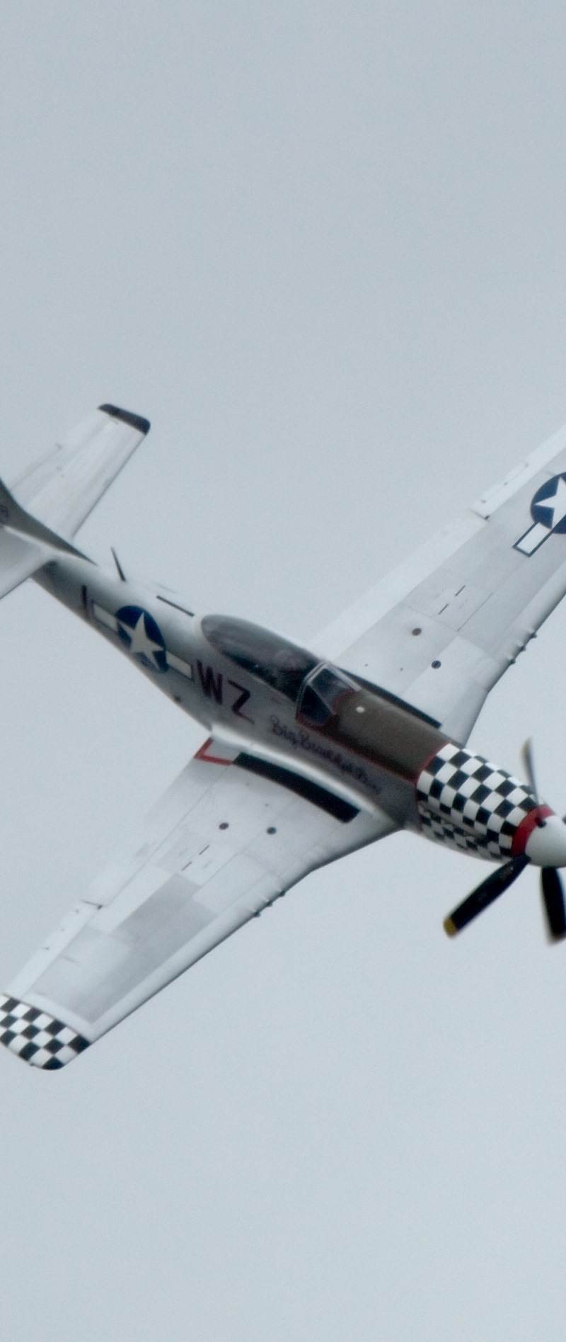  - Warbird