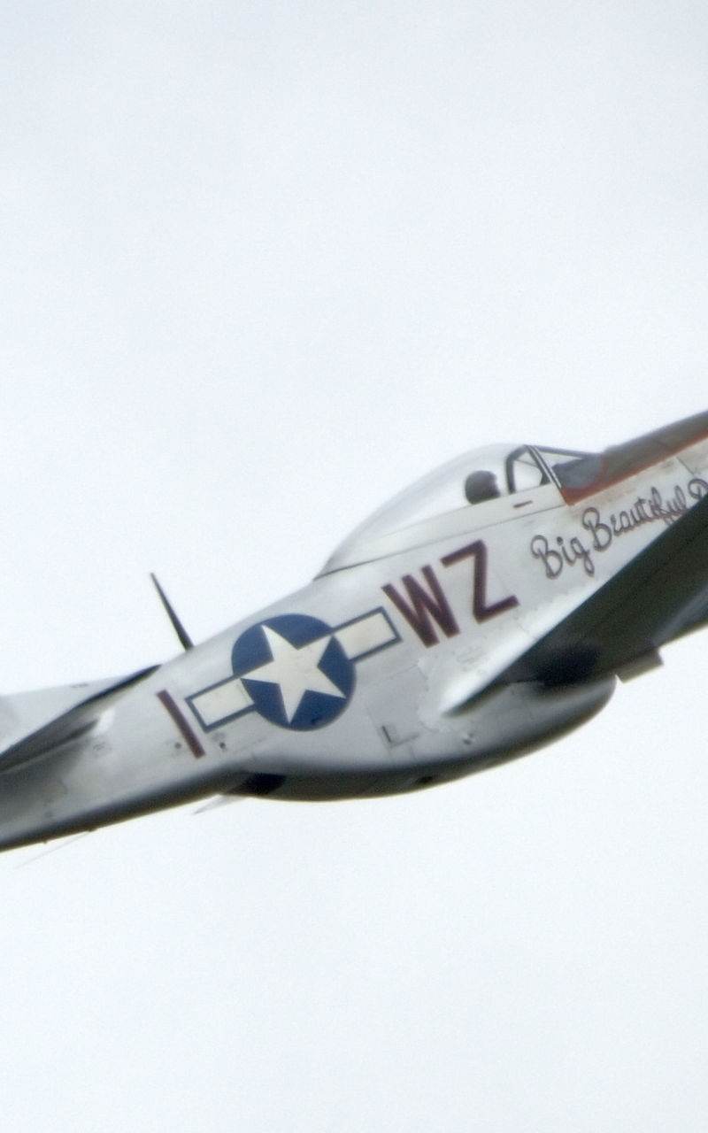  - Warbird