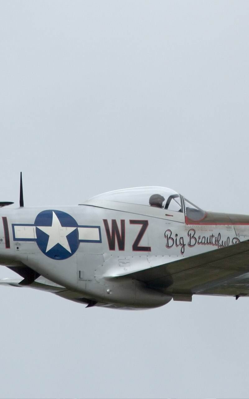  - Warbird