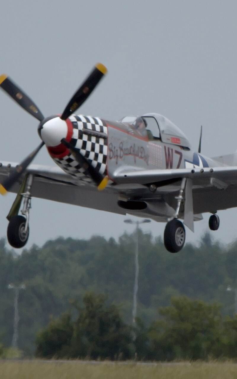  - Warbird