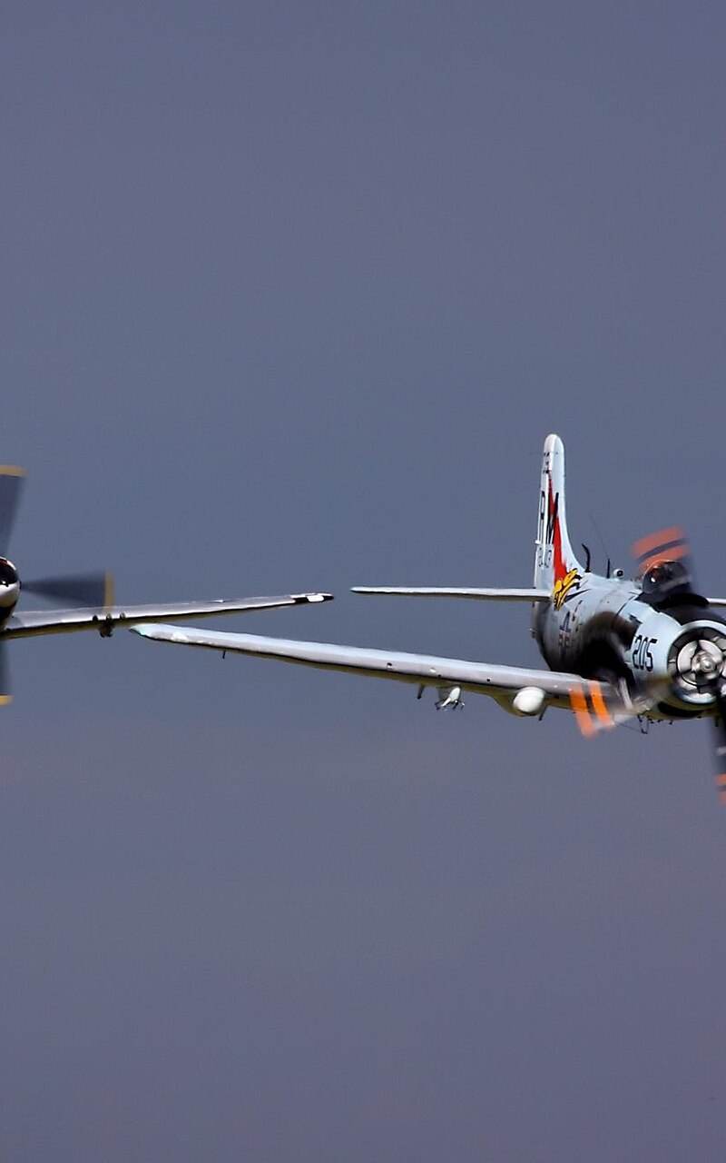  - Warbird