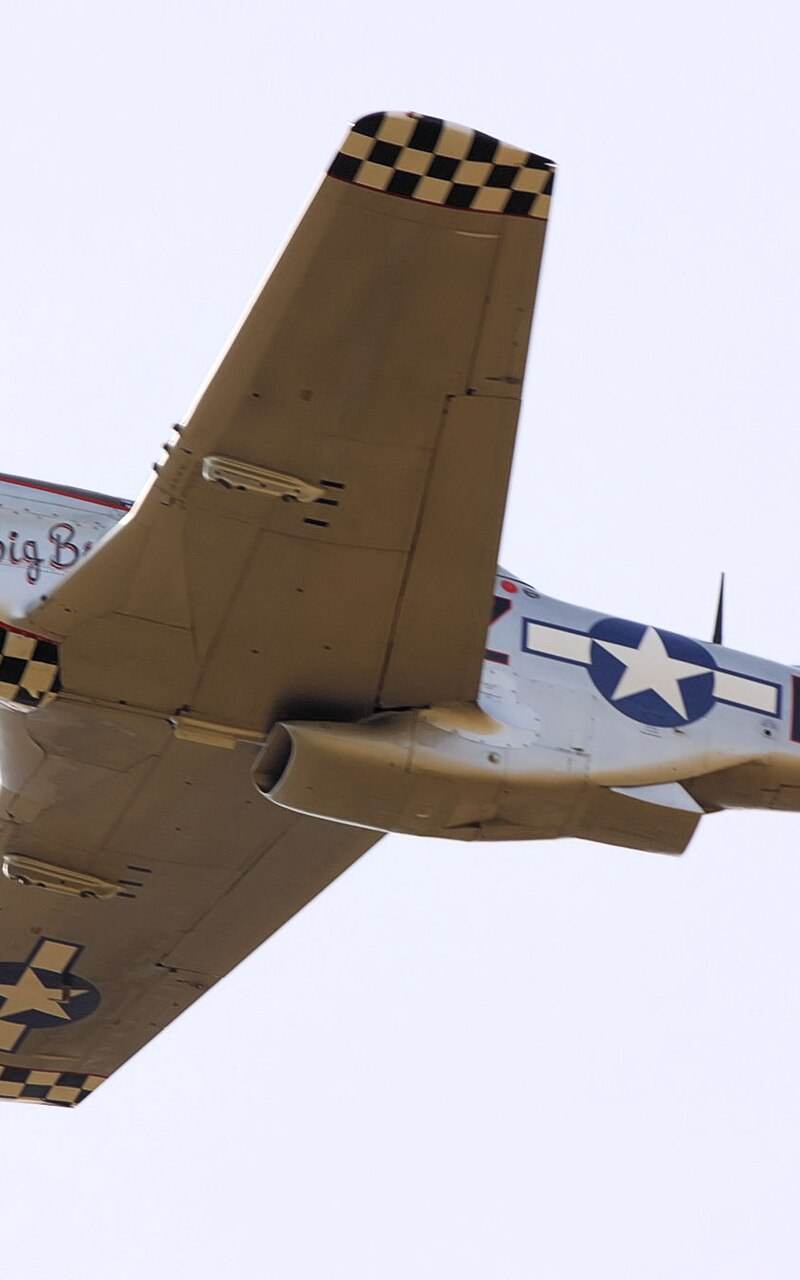  - Warbird