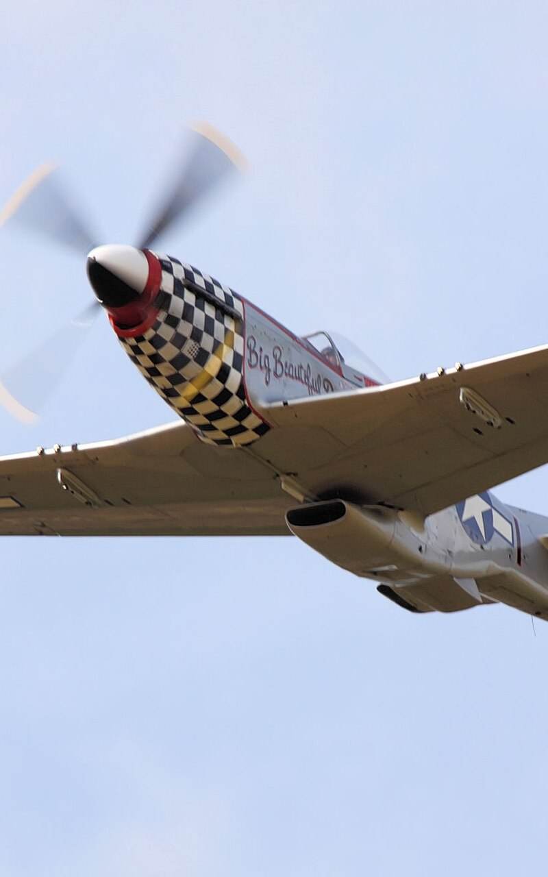  - Warbird