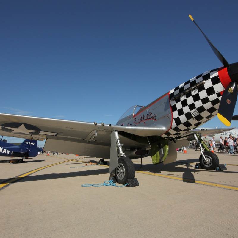  - Warbird