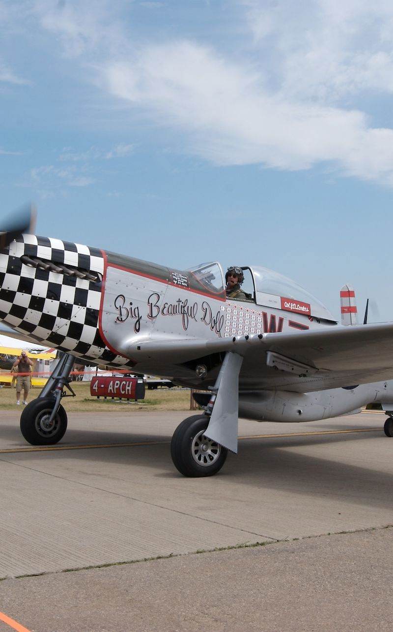  - Warbird