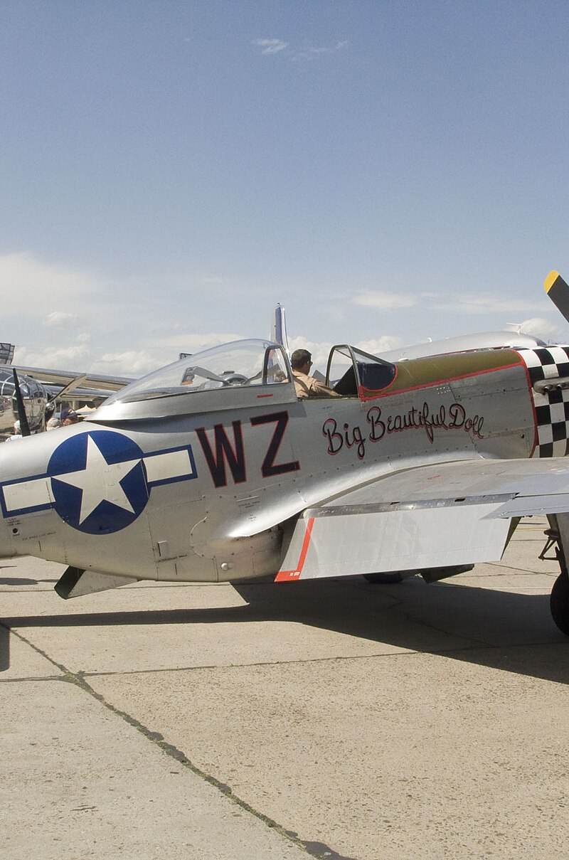  - Warbird