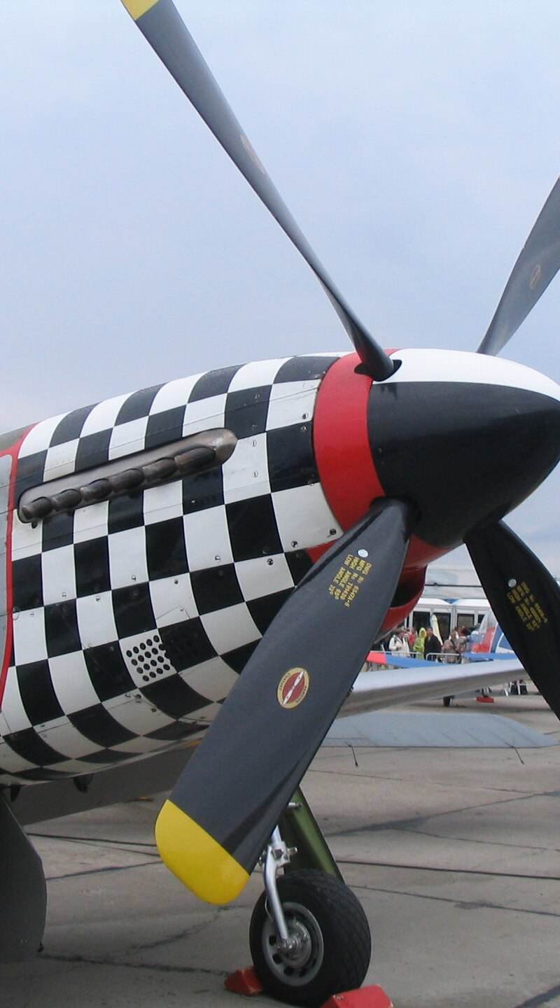  - Warbird