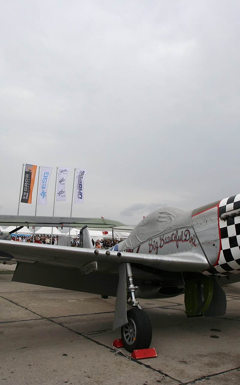  - Warbird