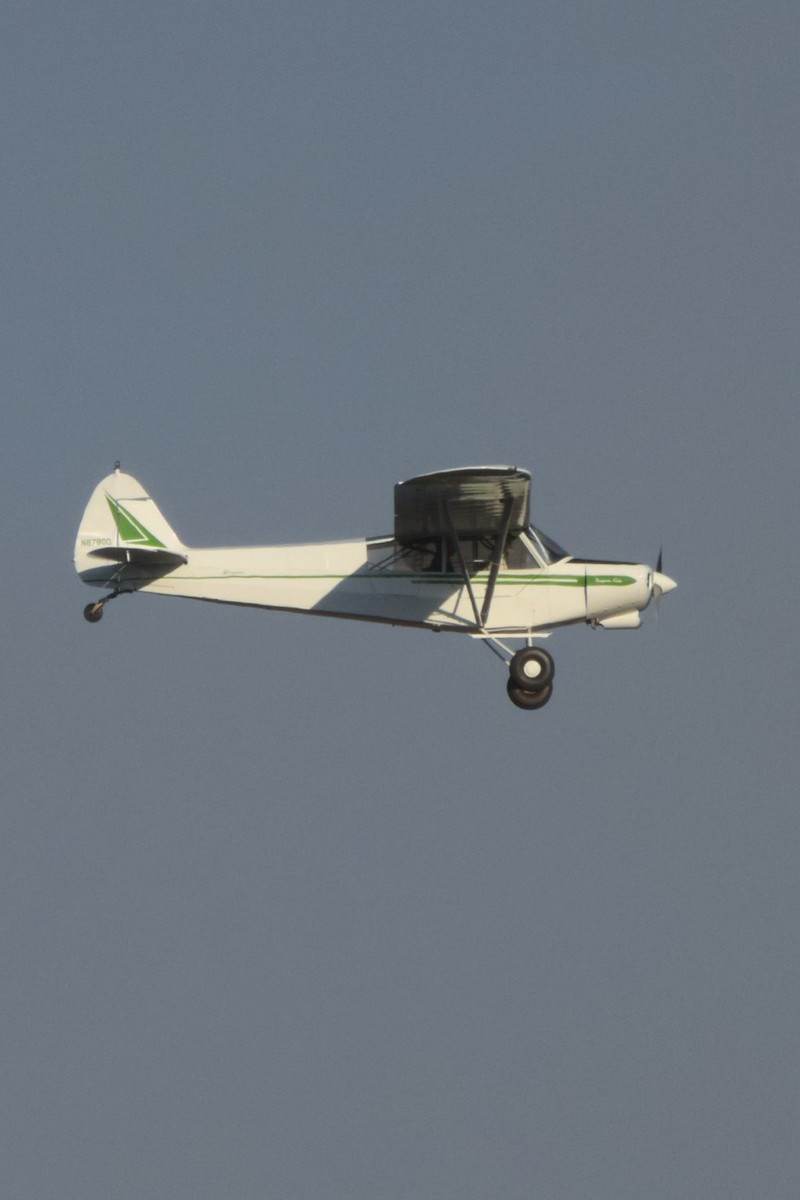 N8780D - Aircraft