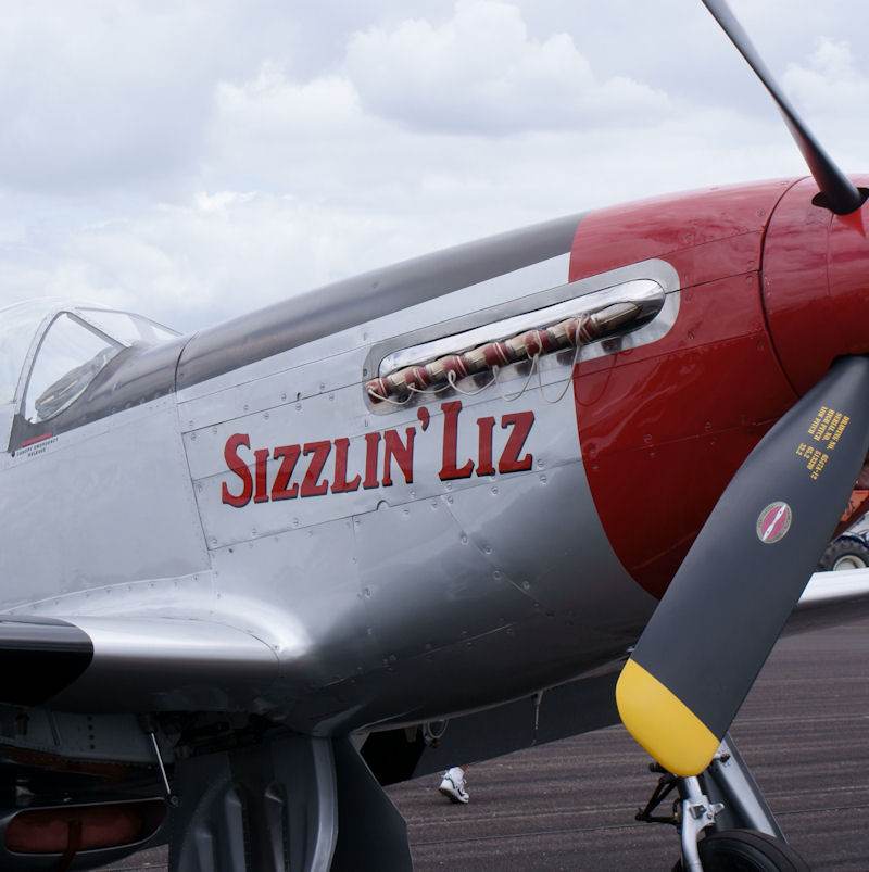  - Warbird