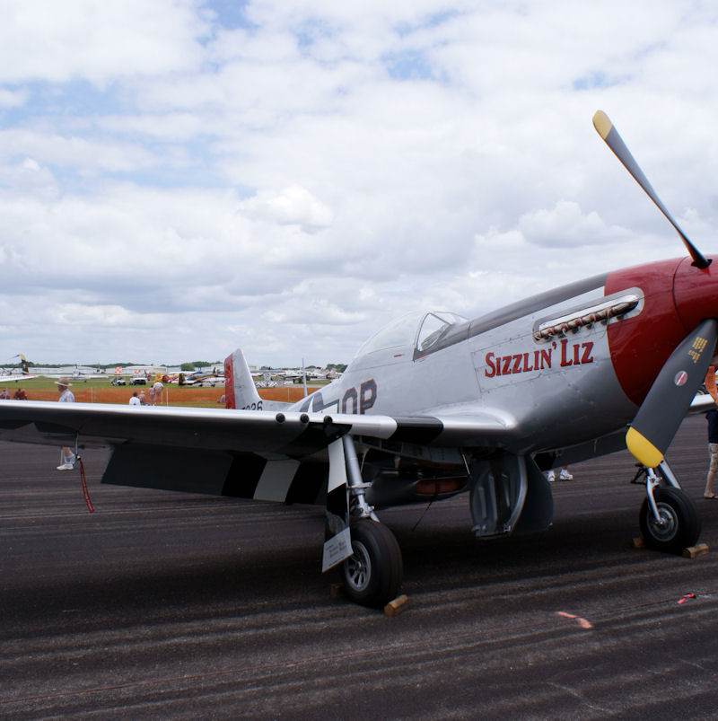  - Warbird
