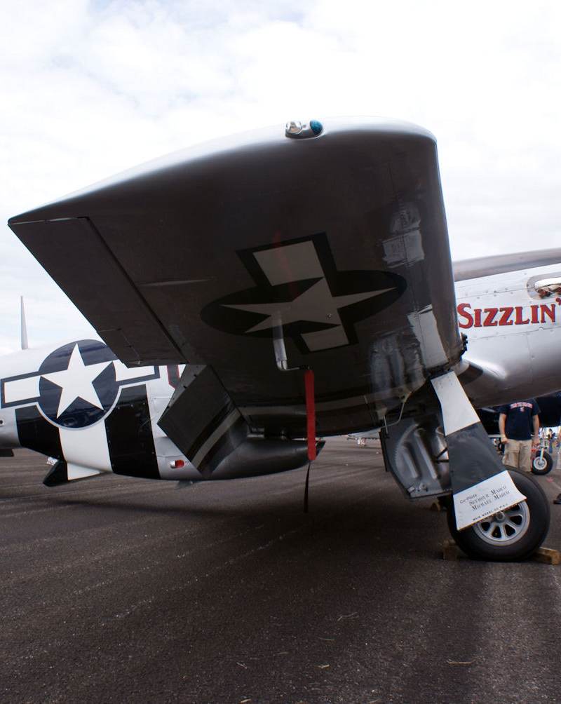  - Warbird