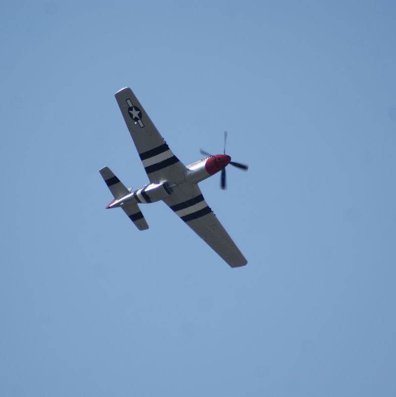  - Warbird