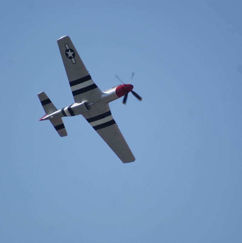  - Warbird