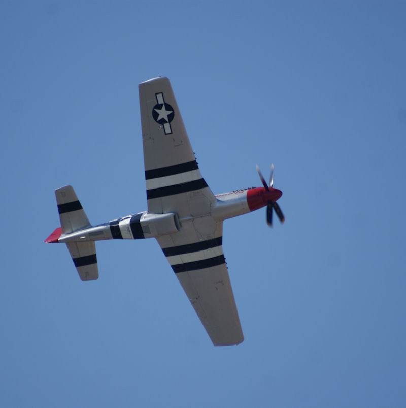  - Warbird