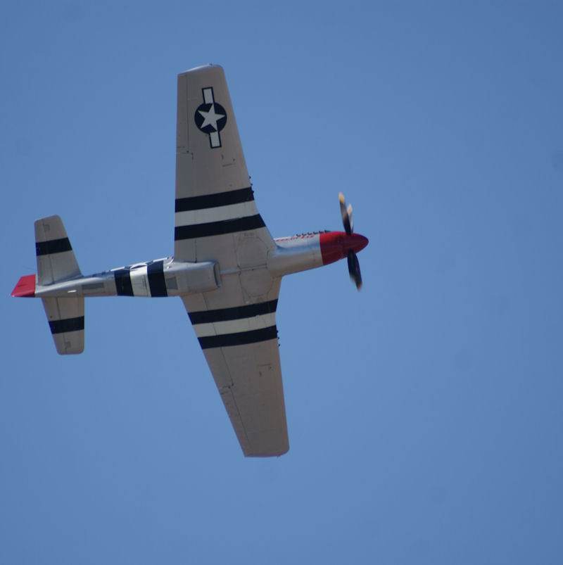  - Warbird