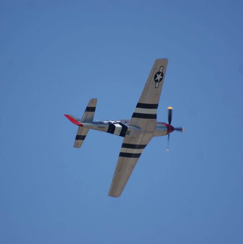  - Warbird