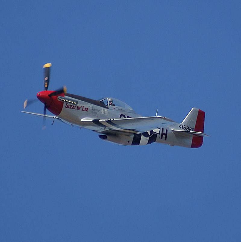  - Warbird