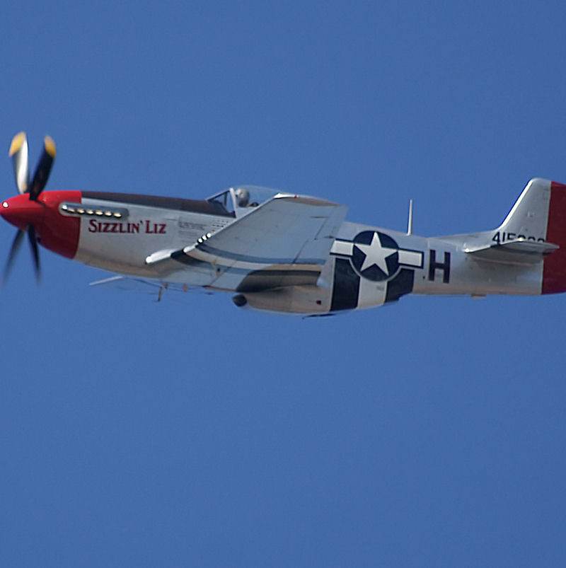  - Warbird