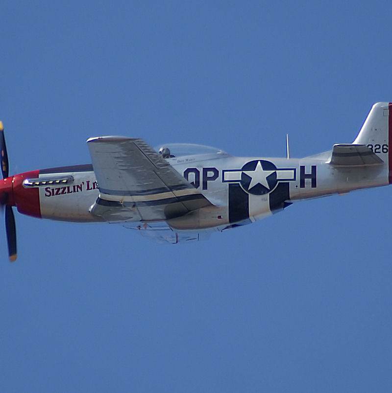  - Warbird