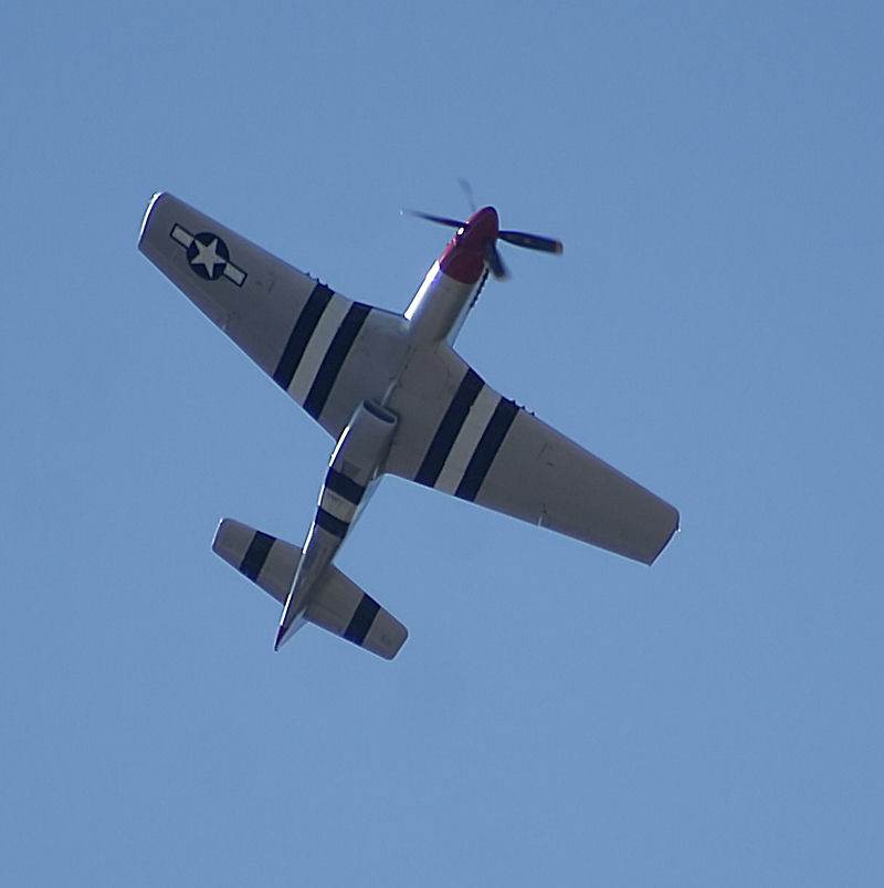  - Warbird