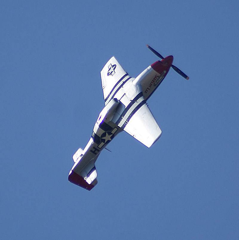  - Warbird