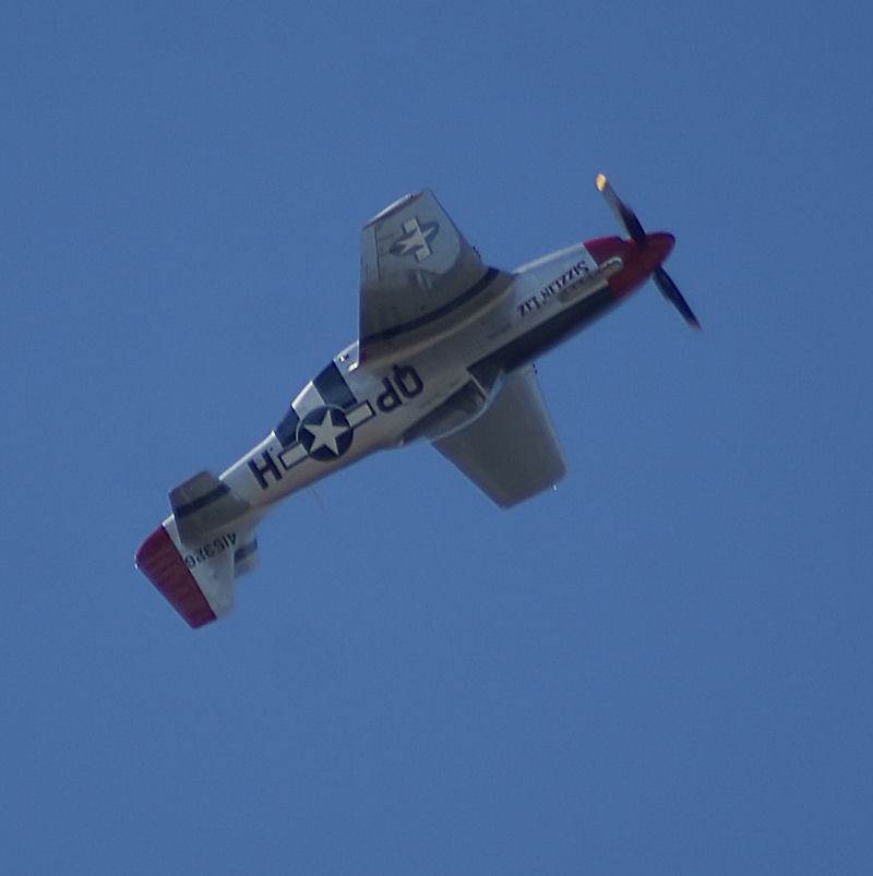  - Warbird