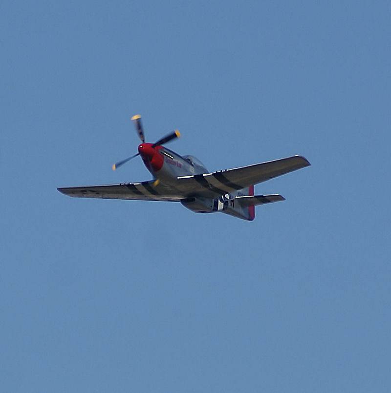  - Warbird