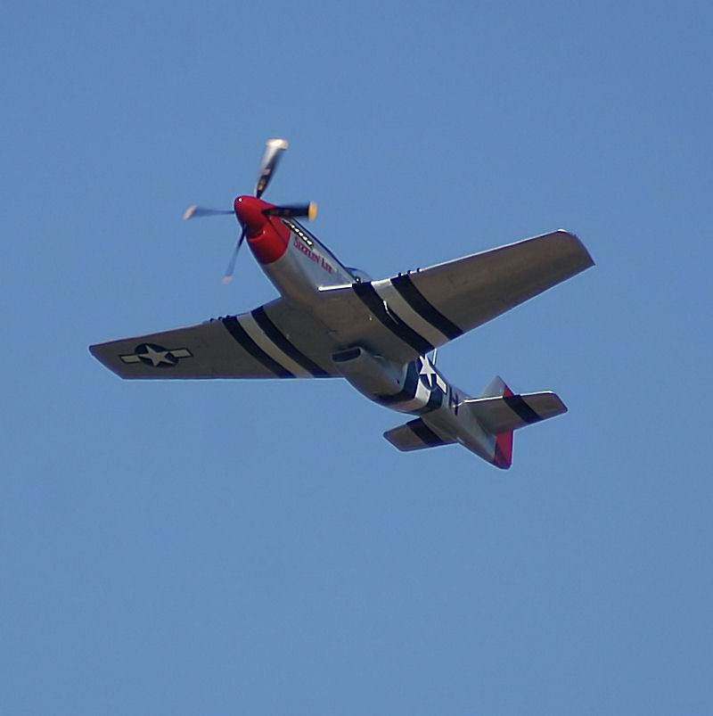  - Warbird