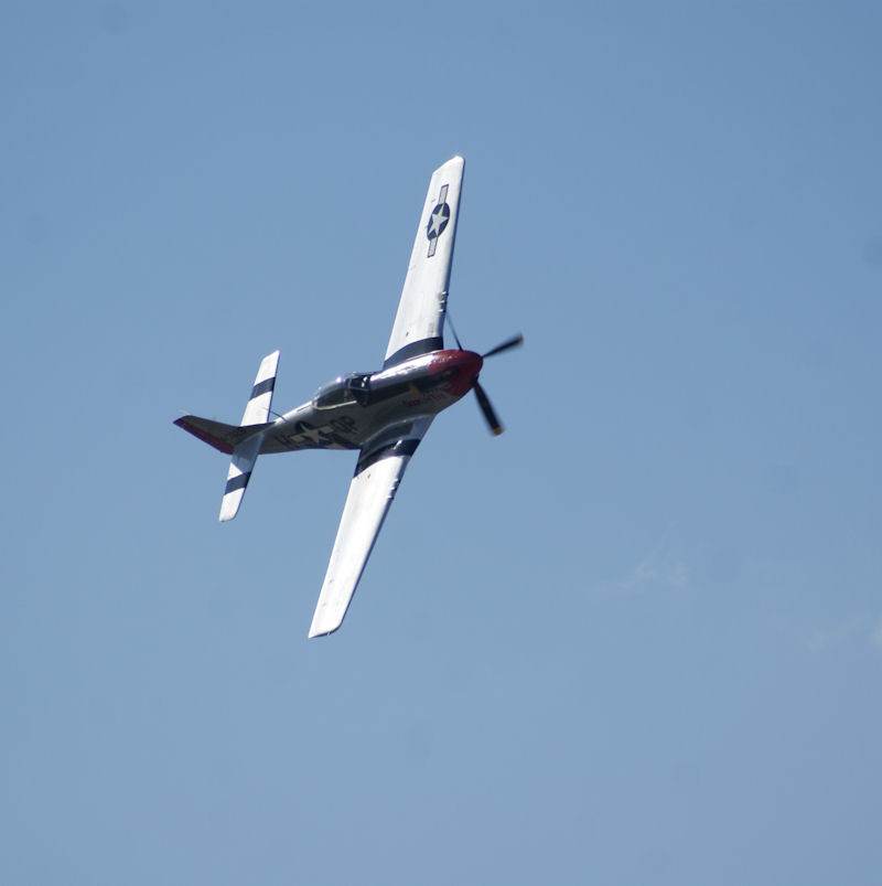  - Warbird